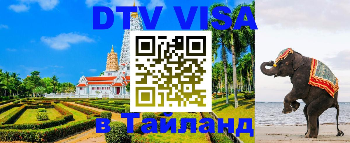 Оформление DTV визы под ключ: стоимость и тарифы, только загранпаспорт - 20.11.2025 